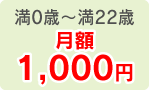 満0歳～満22歳　月額1,000円