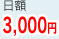 日額3,000円