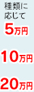 種類に応じて5万円・10万円・20万円